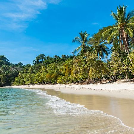 Buena Vista Beach Villas Manuel Antonio Luaran gambar