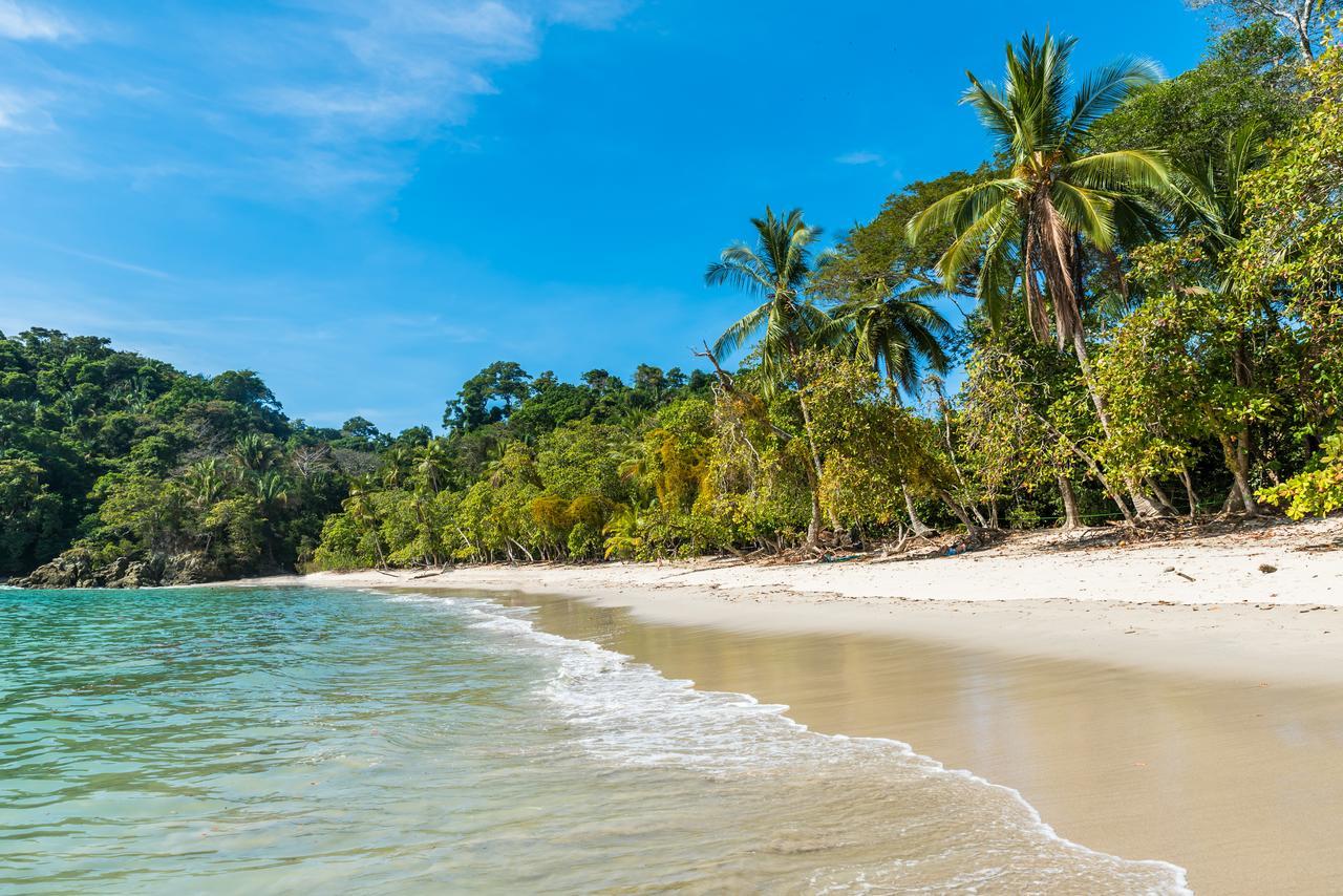 Buena Vista Beach Villas Manuel Antonio Luaran gambar